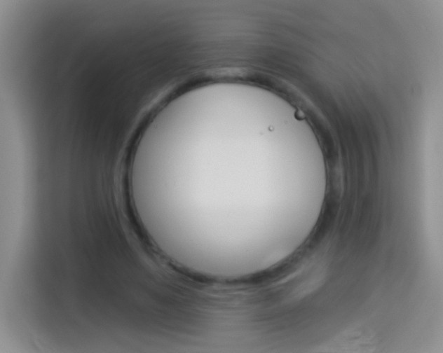 X0000114070491200910051018