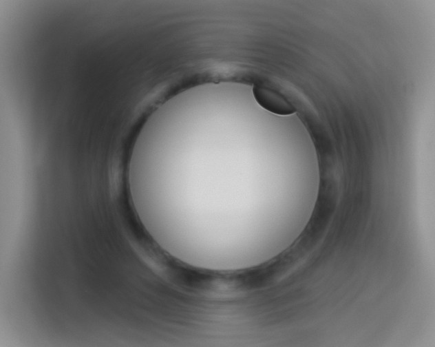 X0000114070496200910051018