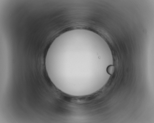 X0000114070498200910051018