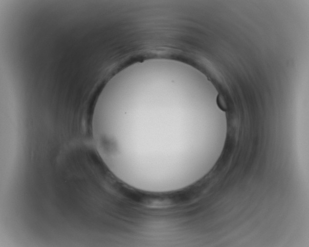 X0000114070500200910051018
