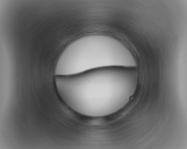 X0000114070505200910051018