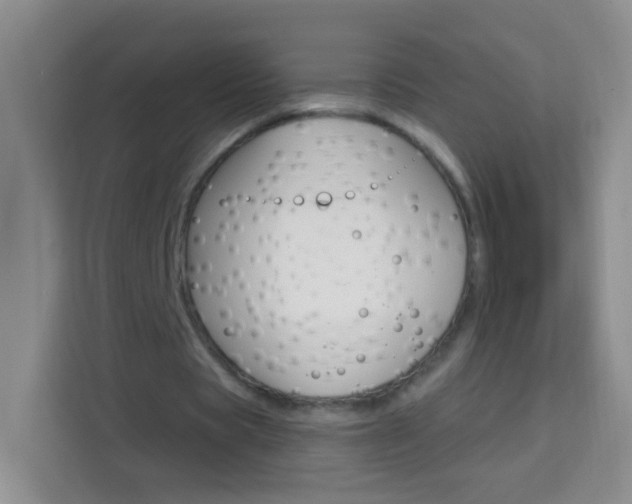 X0000114070529200910051017