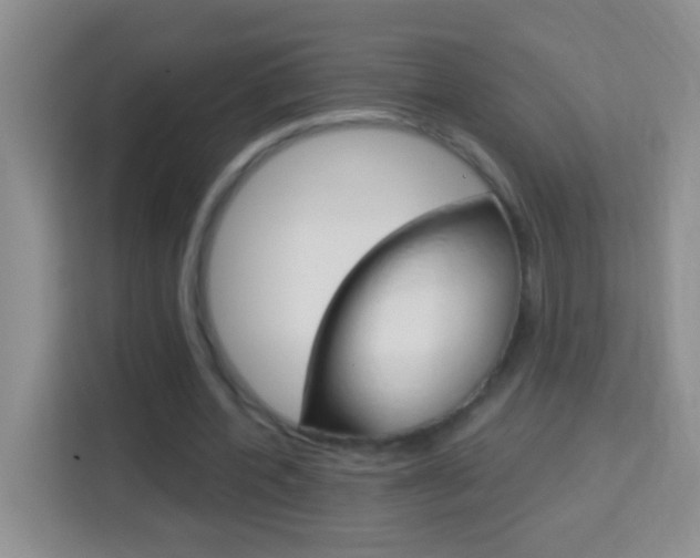 X0000114070532200910051017