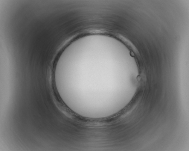 X0000114070533200910051017