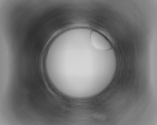X0000114070534200910051017