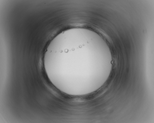 X0000114070541200910051017