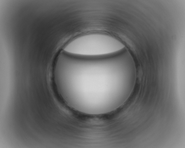 X0000114070544200910051017