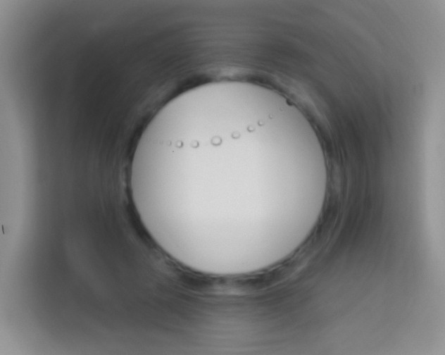 X0000114070545200910051017