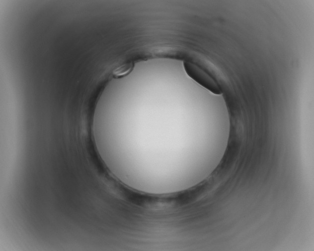 X0000114070546200910051017