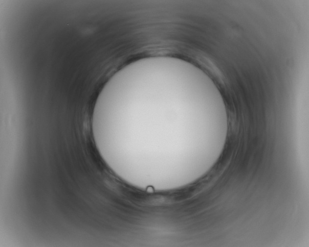 X0000114070549200910051018
