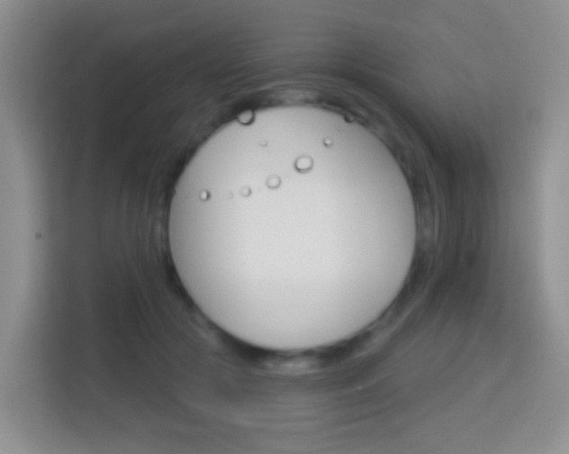 X0000114070553200910051018