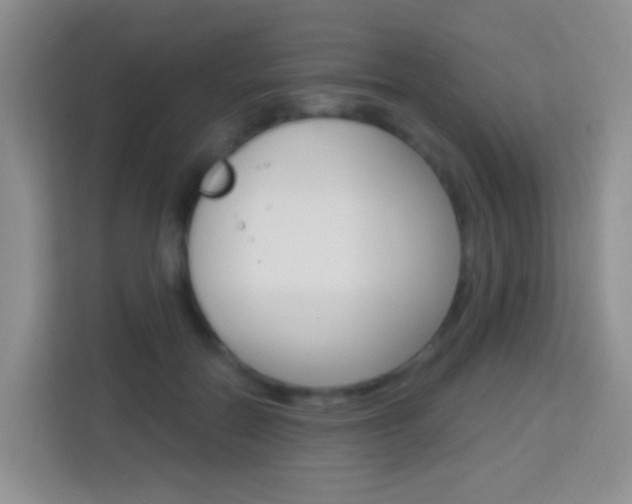 X0000114070554200910051018