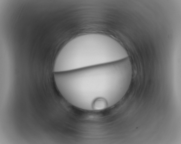 X0000114070555200910051018