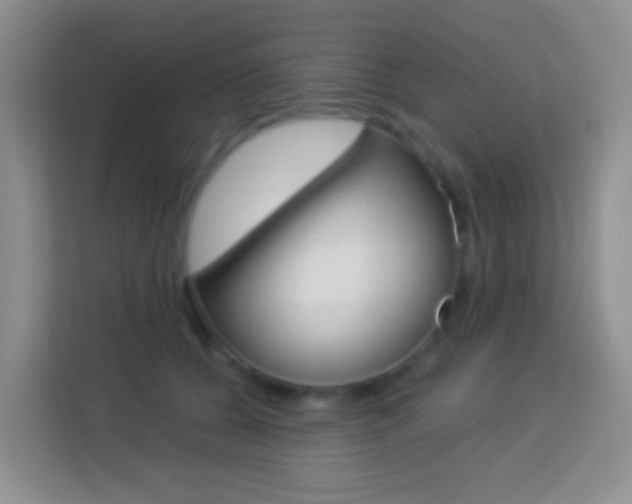 X0000114070560200910051018
