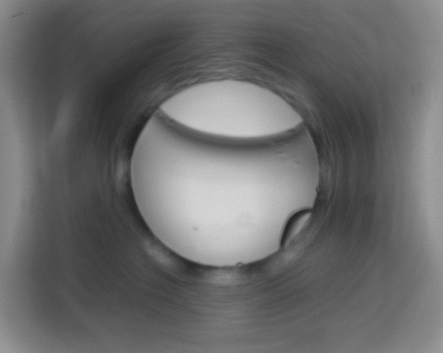 X0000114070574200910051018