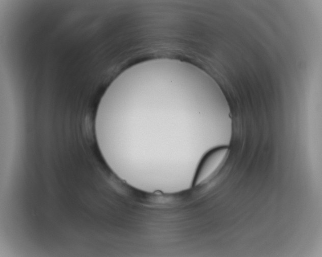 X0000114070575200910051018