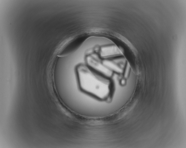 X0000114070577200910051017