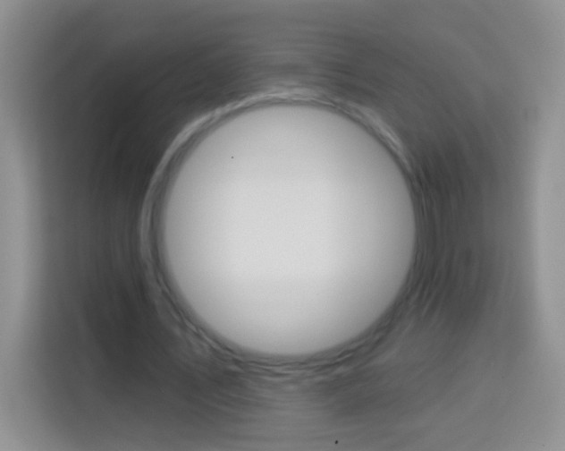 X0000114070579200910051017
