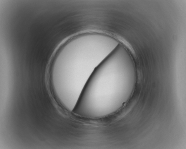 X0000114070580200910051017