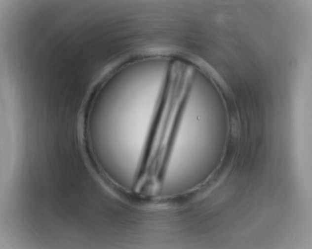 X0000114070581200910051017