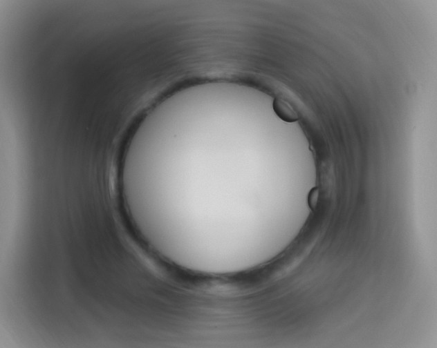 X0000114070589200910051017