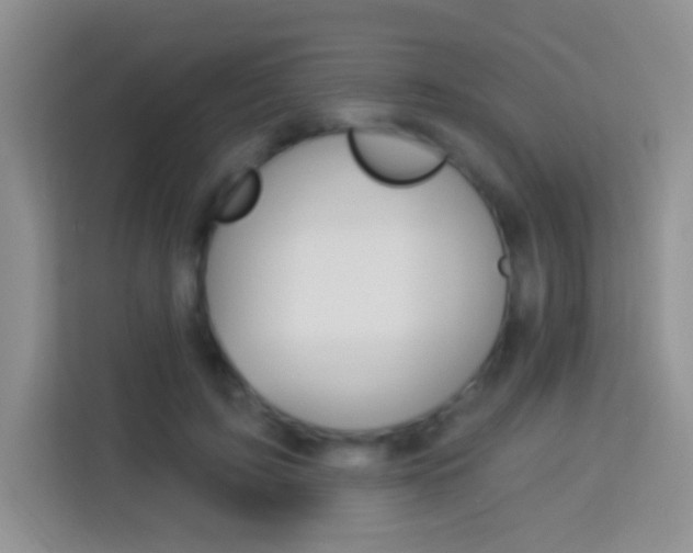 X0000114070595200910051017