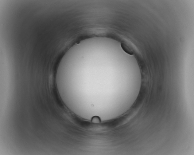 X0000114070597200910051017