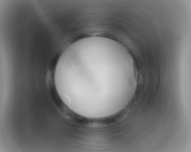 X0000114070598200910051017