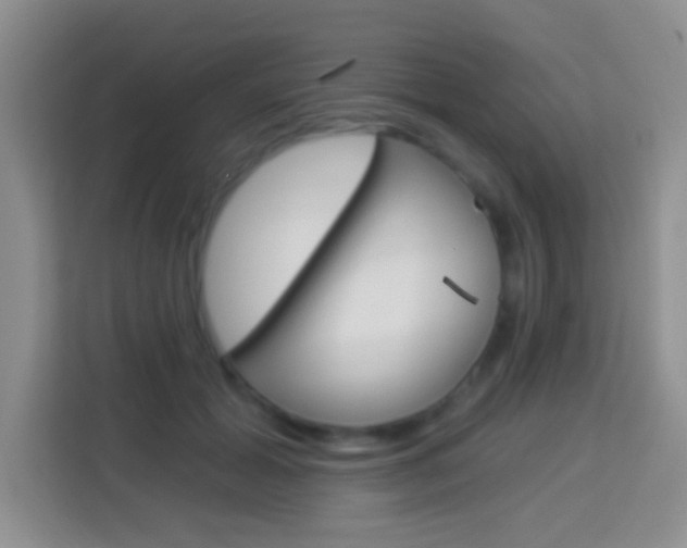X0000114070605200910051017