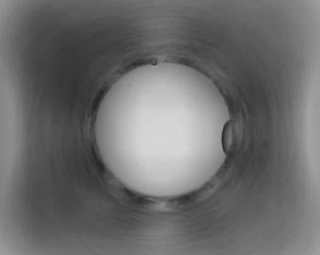 X0000114070611200910051017