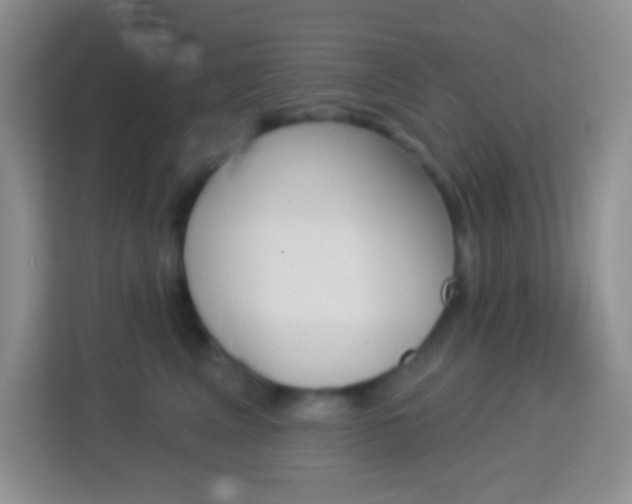 X0000114070617200910051017
