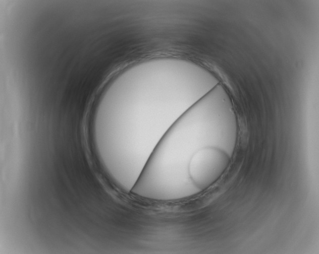 X0000114070626200910051016