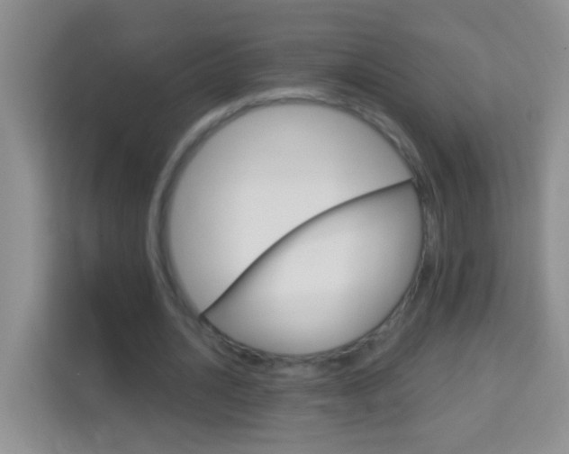 X0000114070628200910051016
