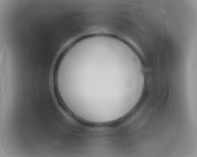 X0000114070629200910051016
