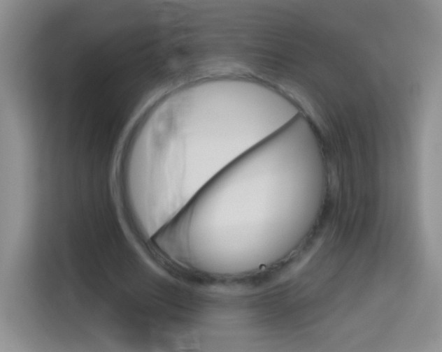 X0000114070630200910051016