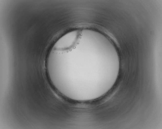 X0000114070633200910051016