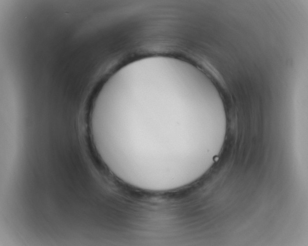 X0000114070635200910051016