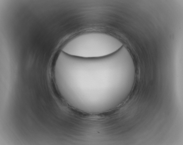 X0000114070636200910051016