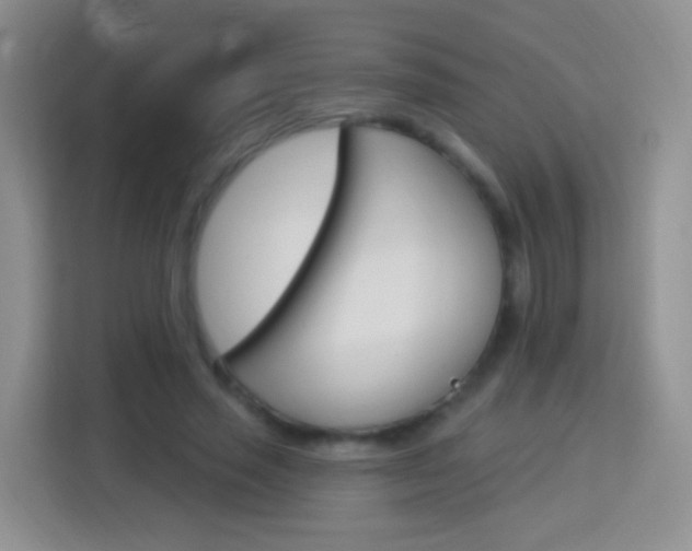 X0000114070637200910051016