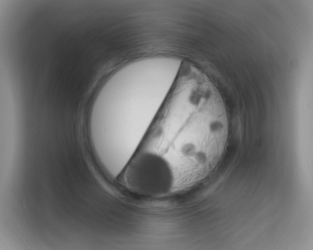 X0000114070638200910051016