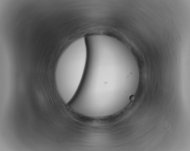 X0000114070641200910051016
