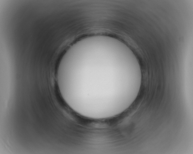 X0000114070644200910051016