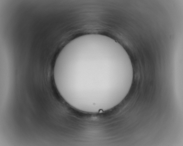 X0000114070647200910051016