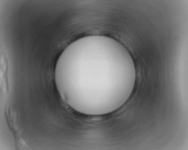 X0000114070665200910051017