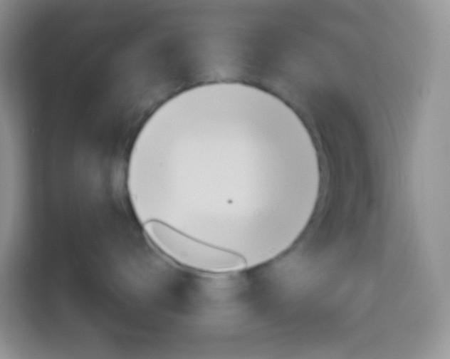 X0000114070672200910051017
