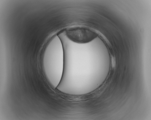 X0000114070675200910051016