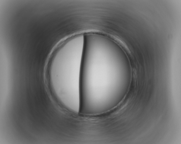 X0000114070676200910051016