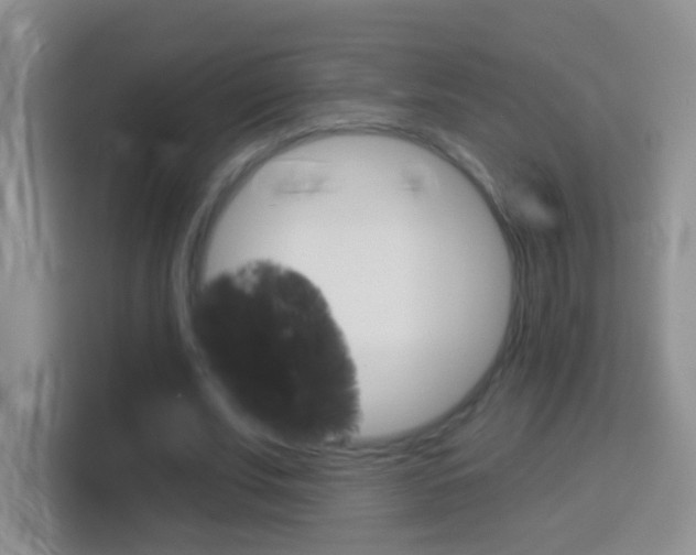 X0000114070679200910051016