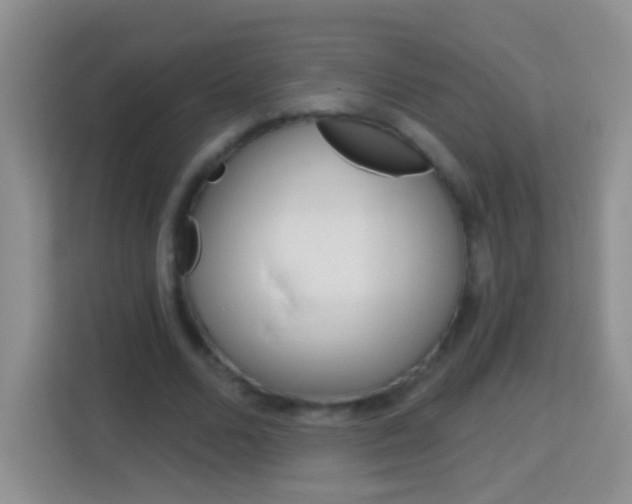 X0000114070680200910051016