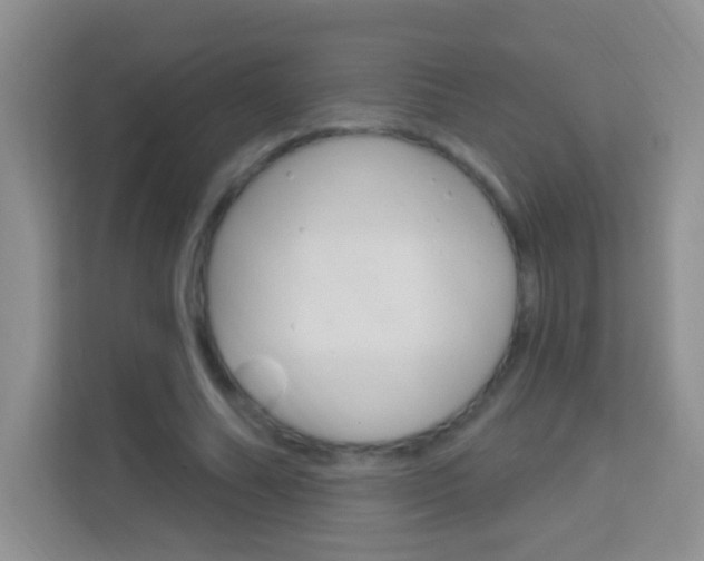 X0000114070682200910051016